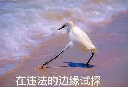 104620dadzped766aitmt7