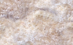 forum forum