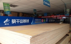 forum forum